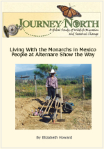 Living With the Monarchs in Mexico