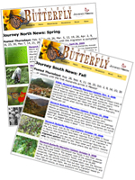 Monarch Migration