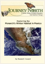 Where monarch butterflies spend winter in Mexico