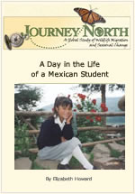 Stories from Mexico
