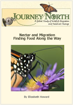Nectar and Monarch Butterfly Migration