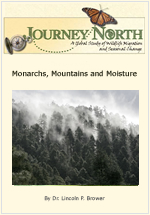 Monarch Butterfly Winter Habitat Water