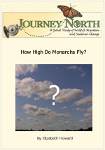 How high can we see them?