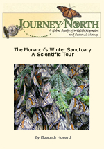 The Monarch's Winter Sanctuary | A Scientific Tour