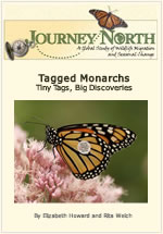 Tagged Monarchs