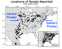Fall monarch butterfly migration: map showing two flyways