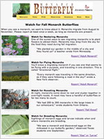 How to Watch Fall Migration