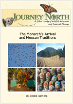 Monarch Arrival and Mexican Traditions