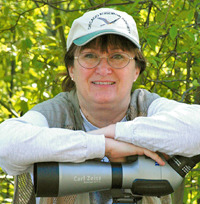 American Robin Facts: Characteristics, Life Cycle, Ecology