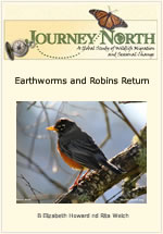 Earthworms and Robins