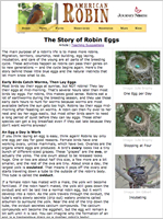 The Story of Robin Eggs
