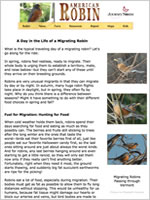 A Day in the Life
of a Migrating Robin