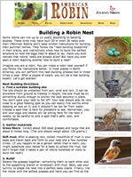 Building a Robin Nest