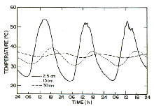 day and night temperatures