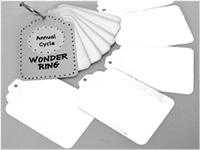 Wonder Rings