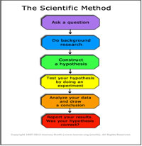 Scientific Method Anchor chart