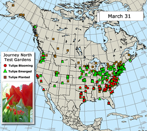 Mar.3 map