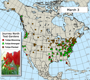 Mar.3 map
