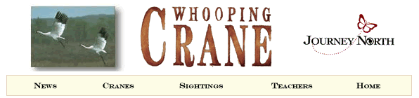 Whooping Crane Migration