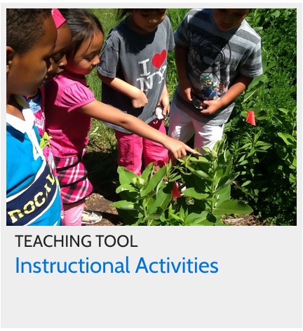 Instructional Activities