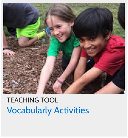 Vocabulary Activities