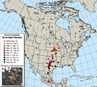 Fall Monarch Butterfly Migration Map