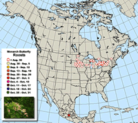 Fall Monarch Butterfly Migration Map