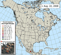Fall Monarch Butterfly Migration Map