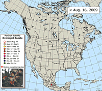 Monarch Butterfly Migration