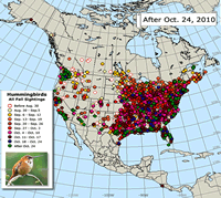 2010 Hummingbird Migration Map