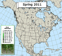 Map of milkweed emergence: Spring 2011