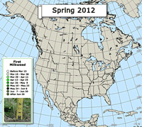 Map of milkweed emergence: Spring 2011