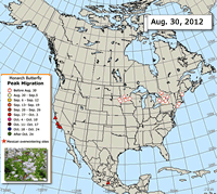 Monarch Butterfly Migration Map: Peak Migration, Fall 2012