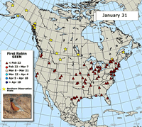 Robin Migration Map: First Robin