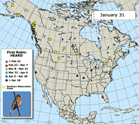 Robin migration map: First robins heard singing