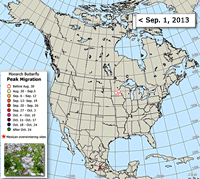 Monarch Butterfly Migration Map: Peak Migration, Fall 2012
