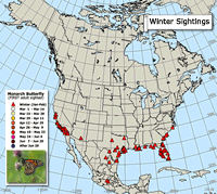 Monarch butterfly migration map