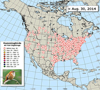 2014 Hummingbird Migration Map
