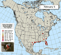 2014 Ruby-throated Hummingbird Migration Map