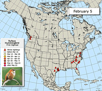 2014 Rufous Hummingbird Migration Map