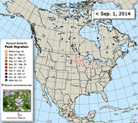 Monarch Butterfly Migration Map: Peak Migration Fall 2014