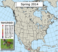 Monarch butterfly migration map