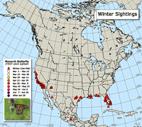 Monarch butterfly migration map