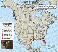 2015 Ruby-throated Hummingbird Migration Map