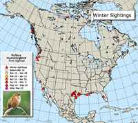 2015 Rufous Hummingbird Migration Map
