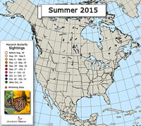 Monarch Butterfly Summer Sightings