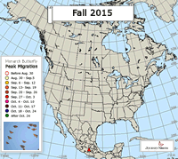 Monarch Butterfly Migration Map: Peak Migration Fall 2015