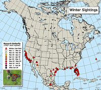 Monarch butterfly migration map