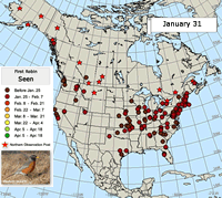 Robin Migration Map