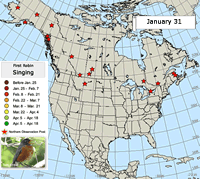 Robin migration map